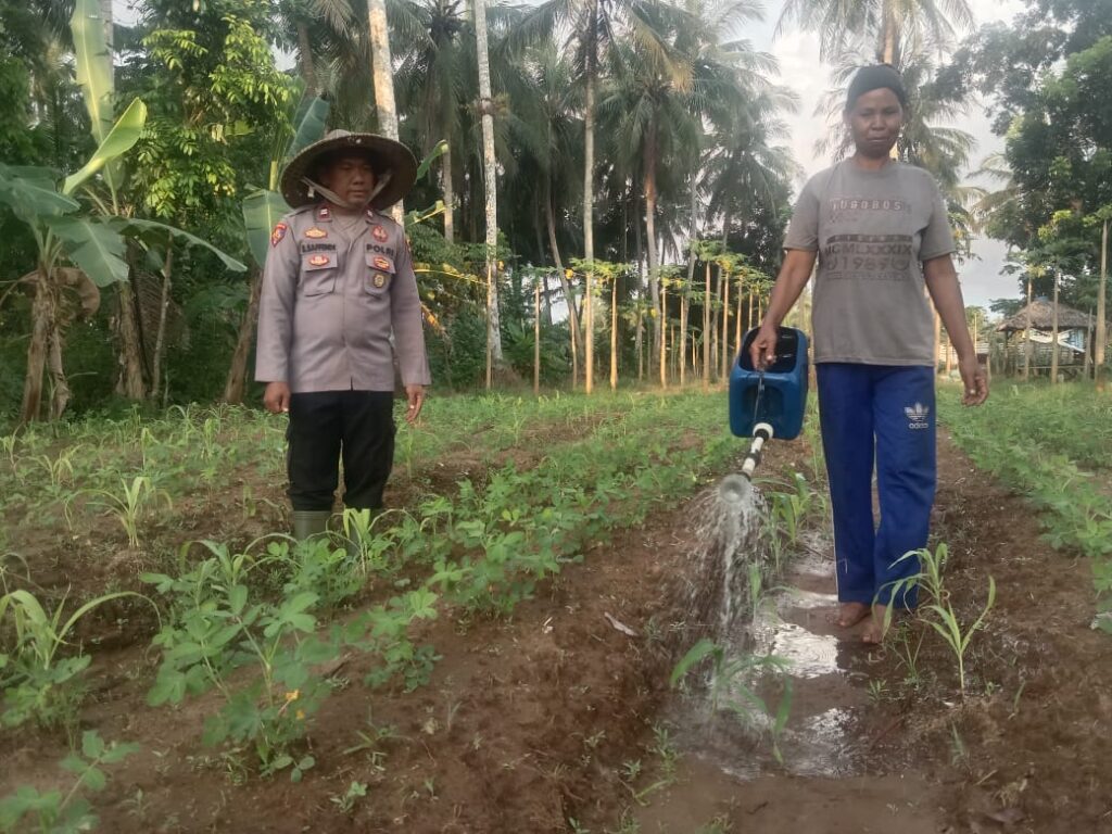 Bhabinkamtibmas Polsek Patia Sambangi Petani Cibungur, Dorong Ketahanan Pangan 1 WhatsApp Image 2025 06 03 at 17.06.06