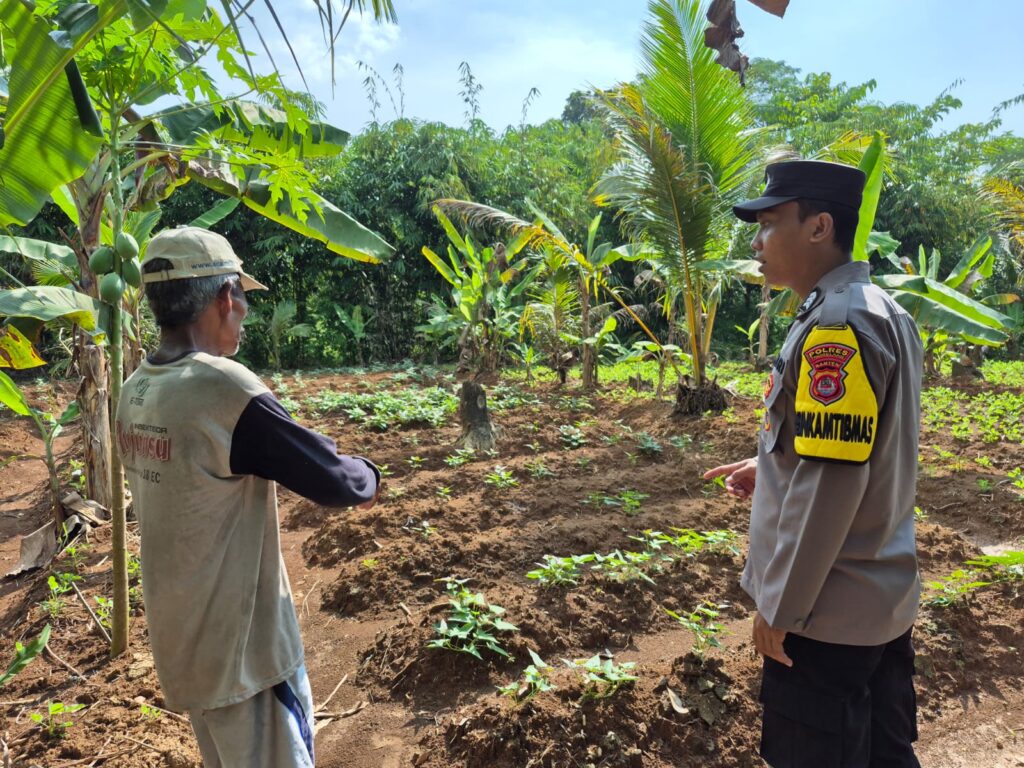 Dukung Ketahanan Pangan, Bhabinkamtibmas Polsek Patia Sambangi Petani dan Peternak di Desa Idaman 2 WhatsApp Image 2025 06 19 at 09.36.30