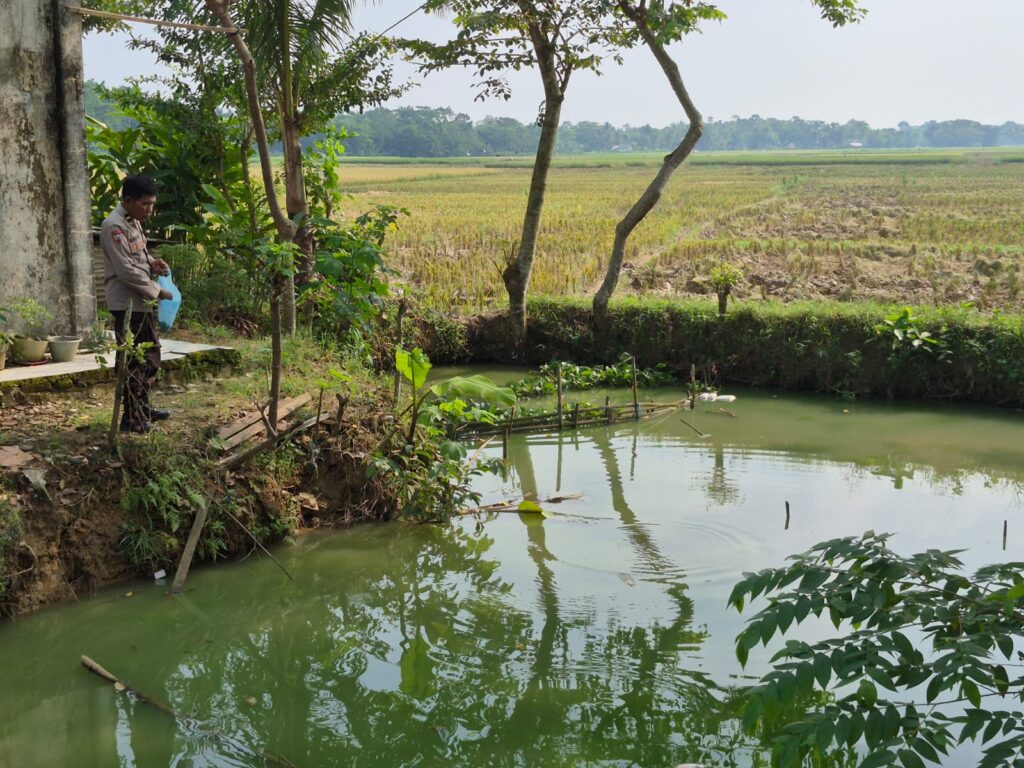 Dukung Swasembada Pangan, Bhabinkamtibmas Polsek Patia Sambangi Pembudi Daya Ikan Nila di Desa Idaman 1 WhatsApp Image 2025 06 23 at 14.31.40